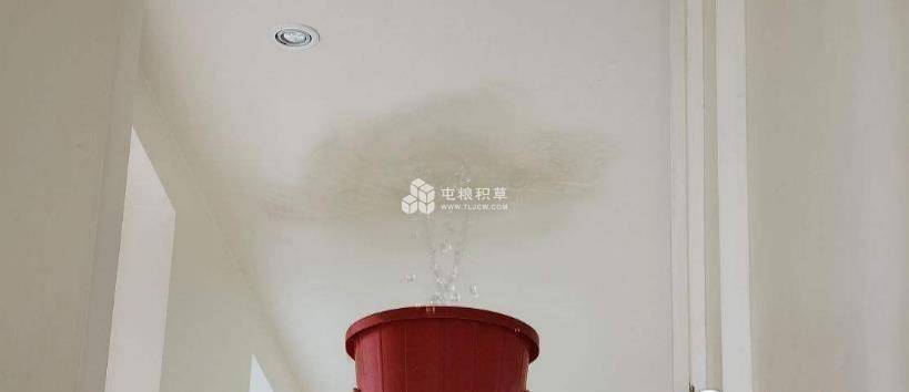 楼顶漏水