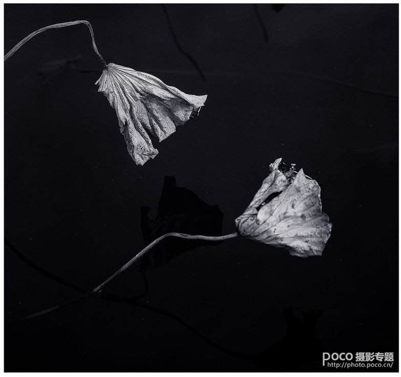 教你如何拍出中国风的意境