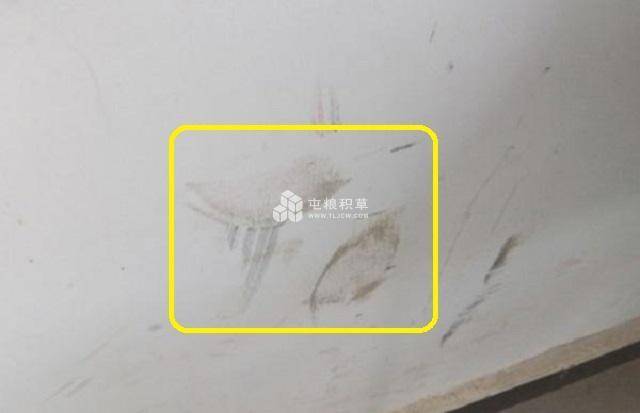 如何去除墙上的黑印?可以直接用水擦墙吗?