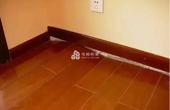 地板